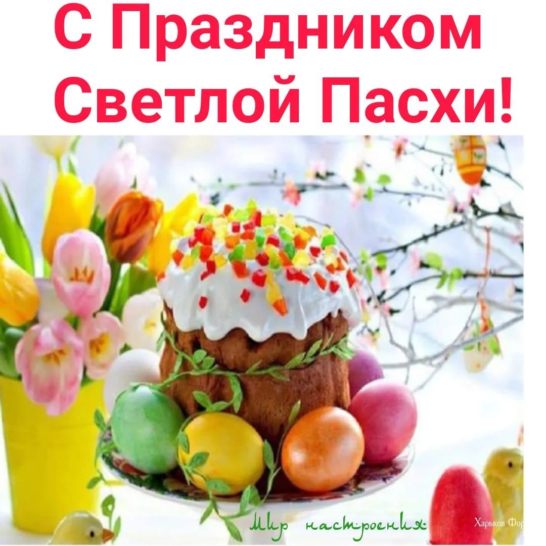 3fff92d15f1f5a524.webp
