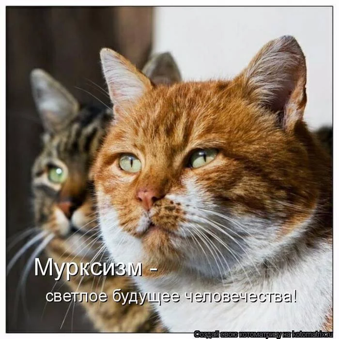 3fjgeh.webp