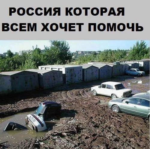 3fjhfg.webp