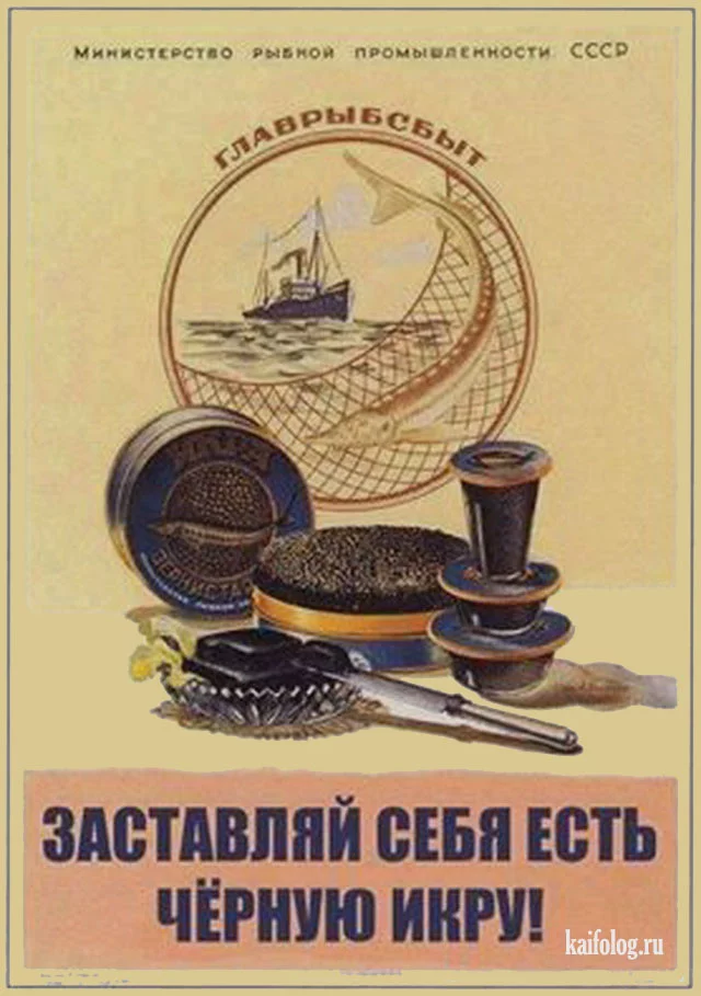 3gbdcj.webp