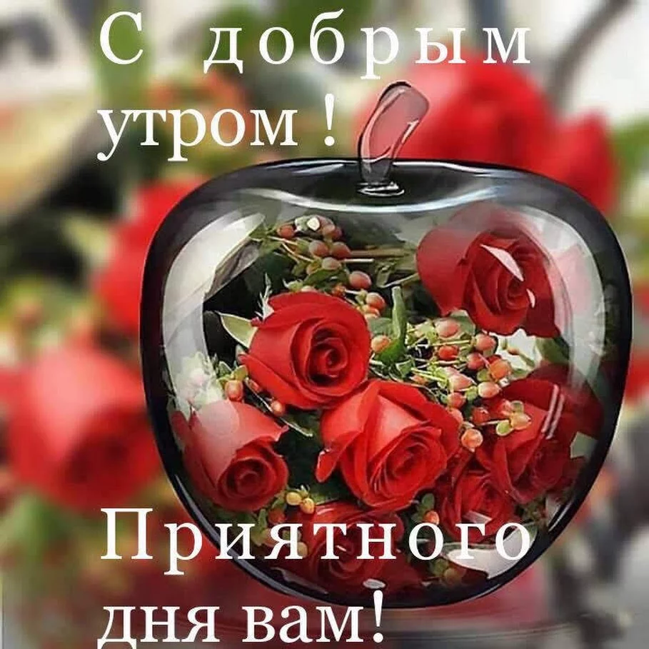 3gcgjf.webp