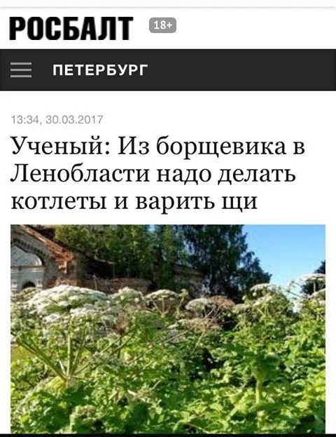 3gdggg.webp