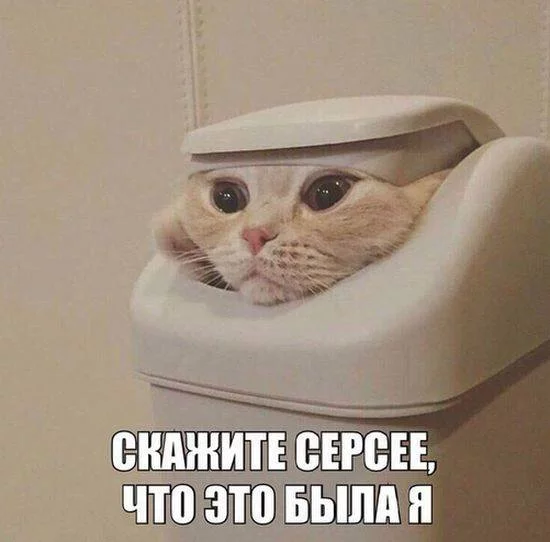 3ghefj.webp