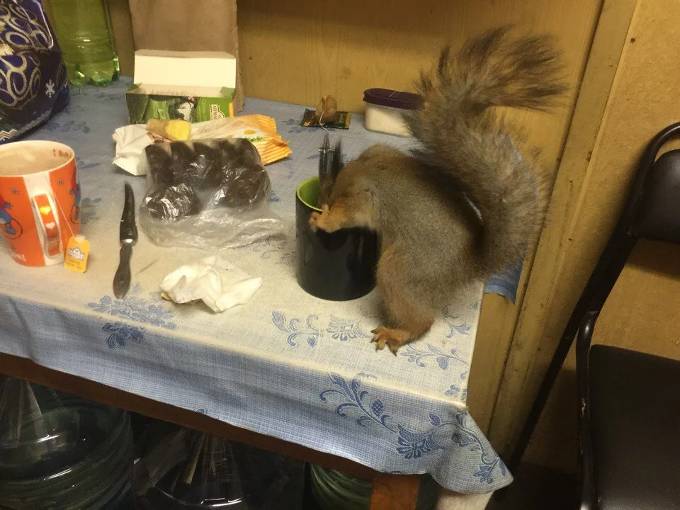 3HBLKmFPFko.webp