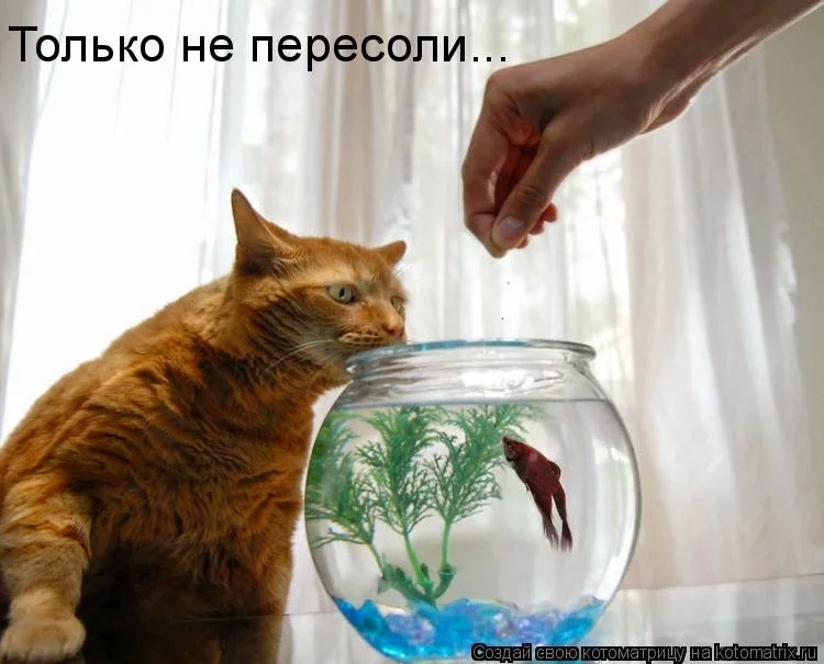 3k.webp