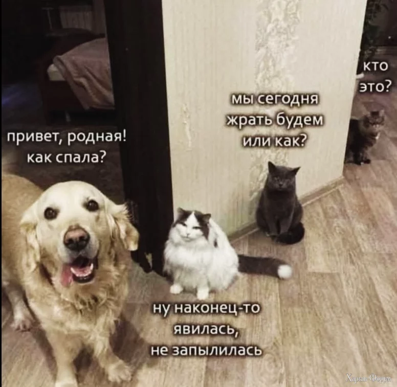 3к.webp