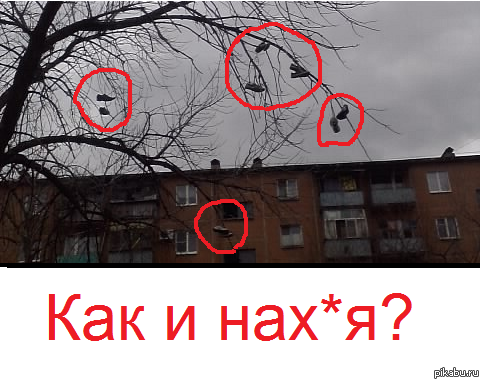 3kt.png