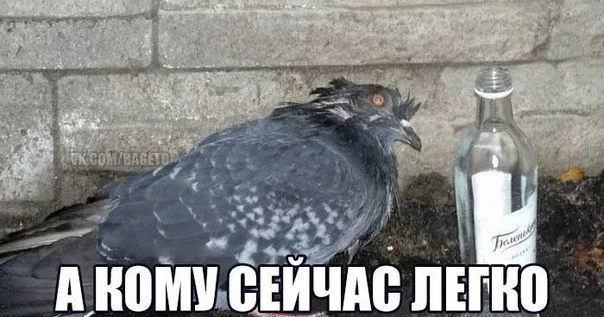 3LFwki9nwFk.webp