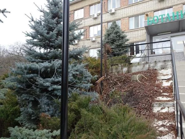3sic0eH9c8w.webp