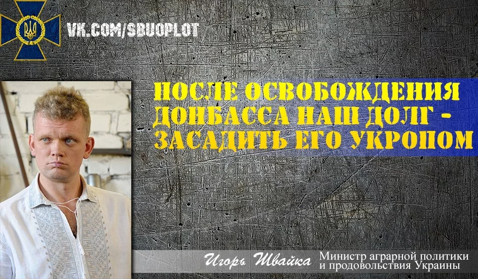 3wwJL4dBjiU.webp