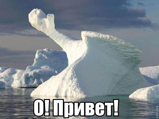 3wYRl5d_fII.webp