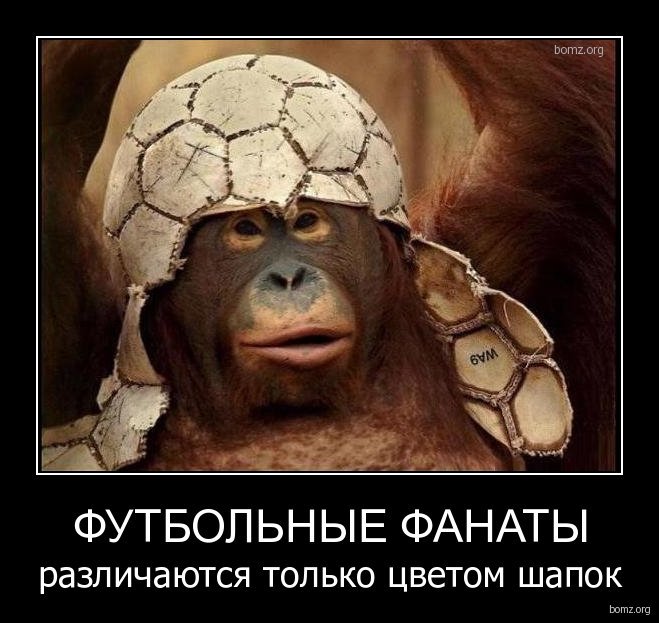 4.25-02.53.52-1265713932_276811_futbolnyie-fanatyi.jpg