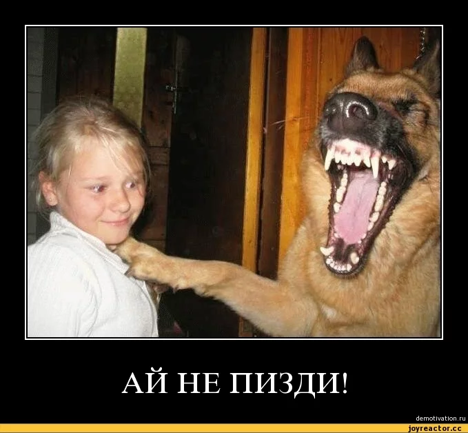 4%D0%B0%D0%BB%D1%91%D0%BD%D0%BD%D0%BE%D0%B5-204045.webp