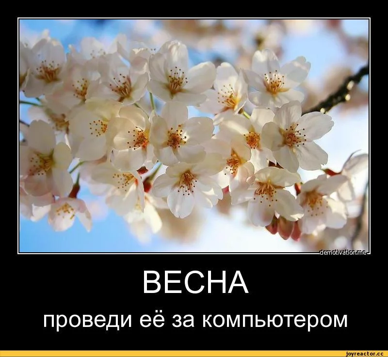 4%D0%B0%D0%BB%D1%91%D0%BD%D0%BD%D0%BE%D0%B5-586421.webp