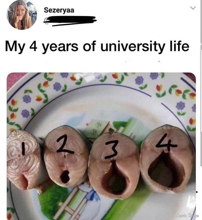 4 года.webp