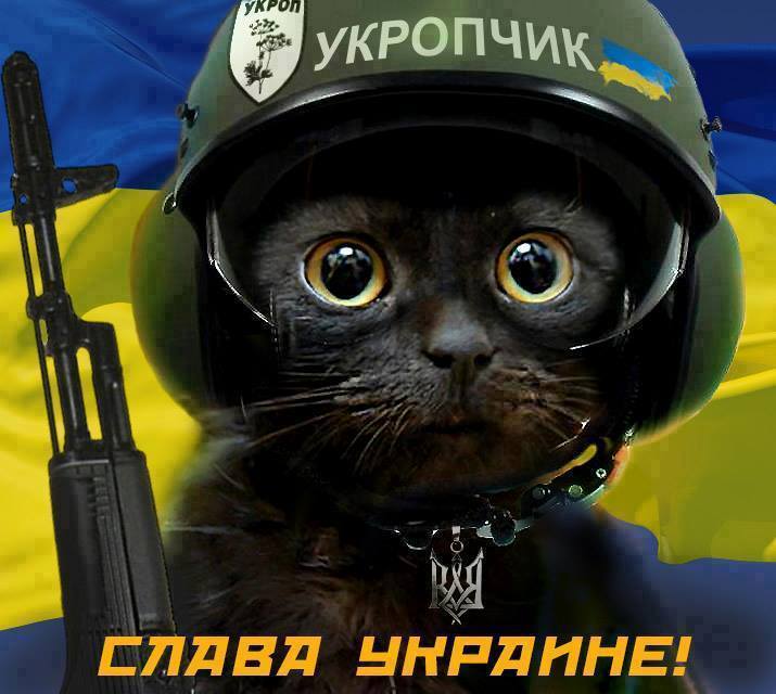 4-qiBVvqo_4.jpg