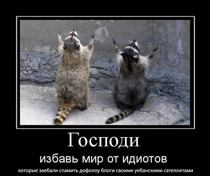 4.webp