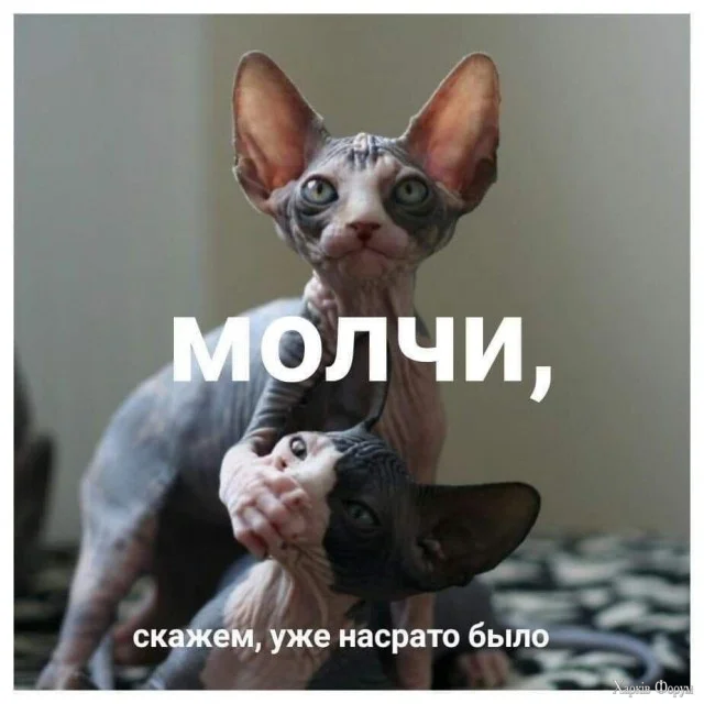 4.webp