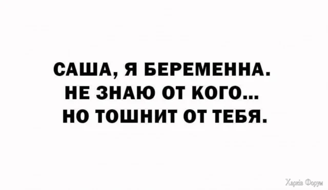 4.webp