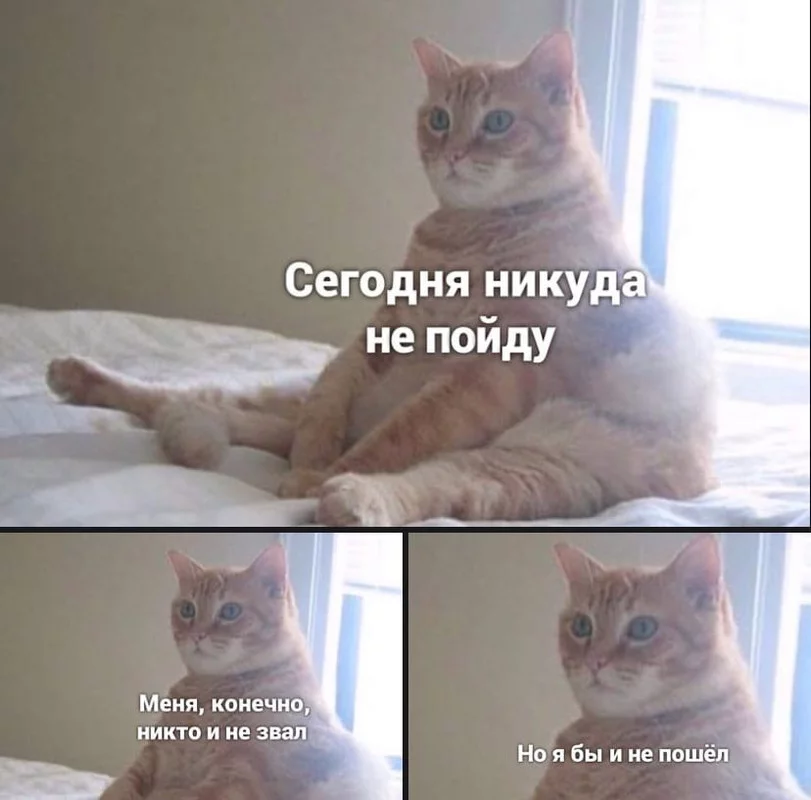 400017300326-436055.webp