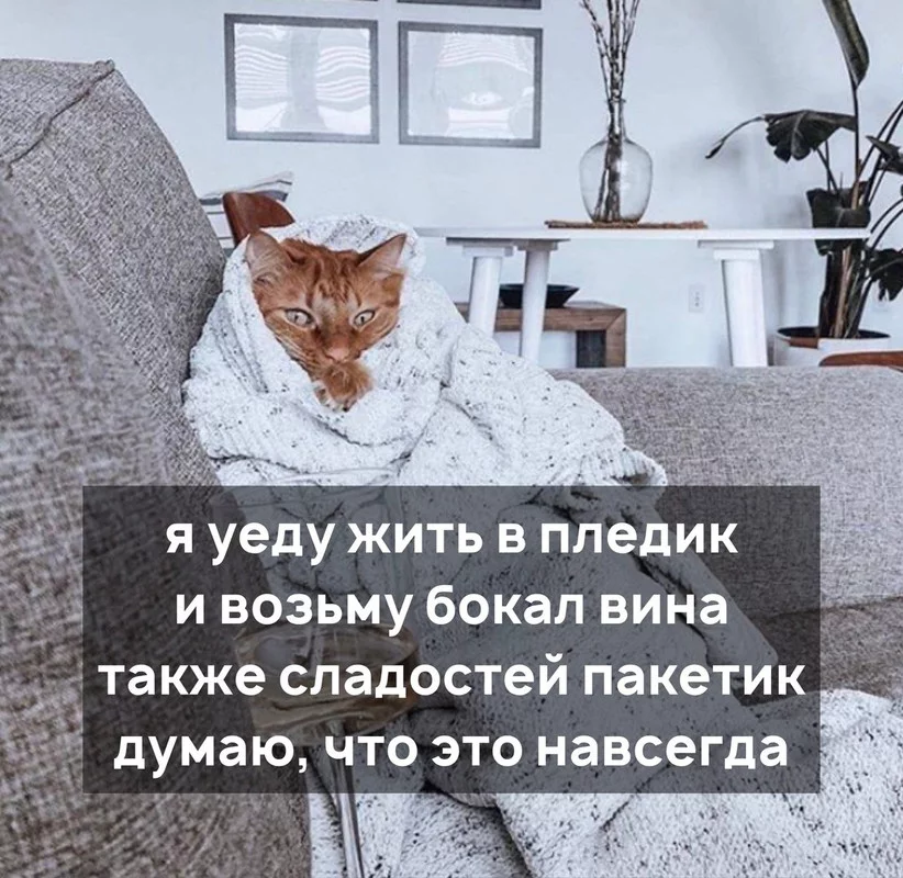 400084500842-76164.webp