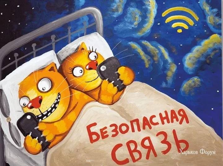 4000d0c28f4c09a2416ef91.webp