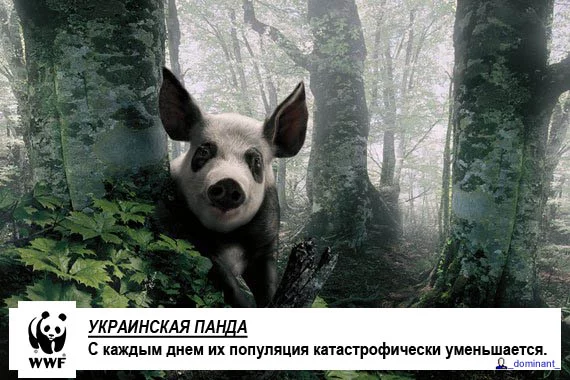 400581475_8de321fde5_o.webp