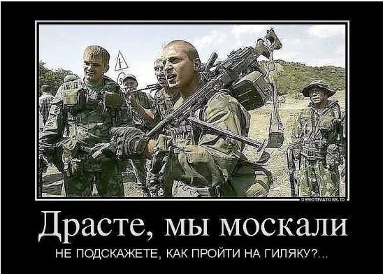 401509_original.webp