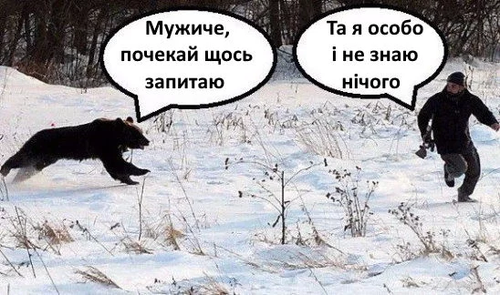 4016628.webp