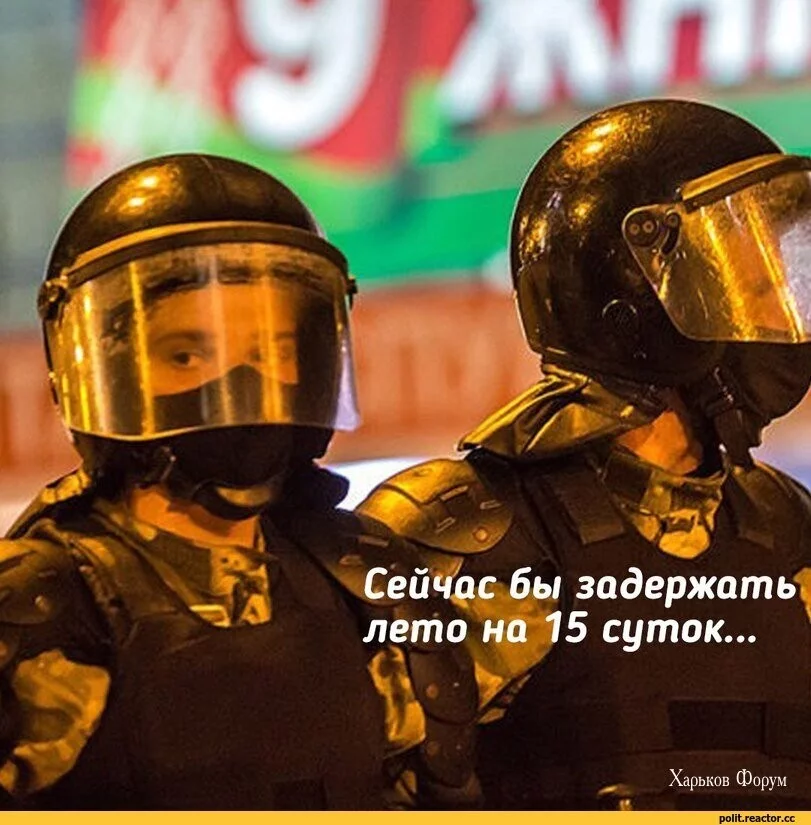 403923adb54f82e459fbc9.webp