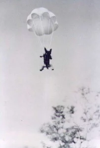 404px-Smoky_Parachuting-202x300.webp