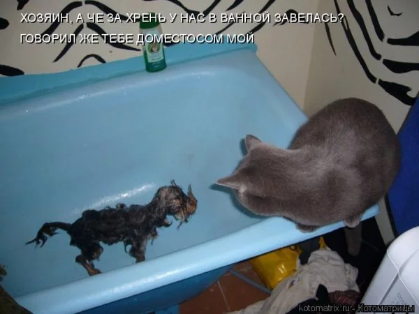 40614700_621c2f74c935.webp