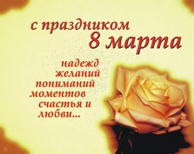 40667004_504343.webp