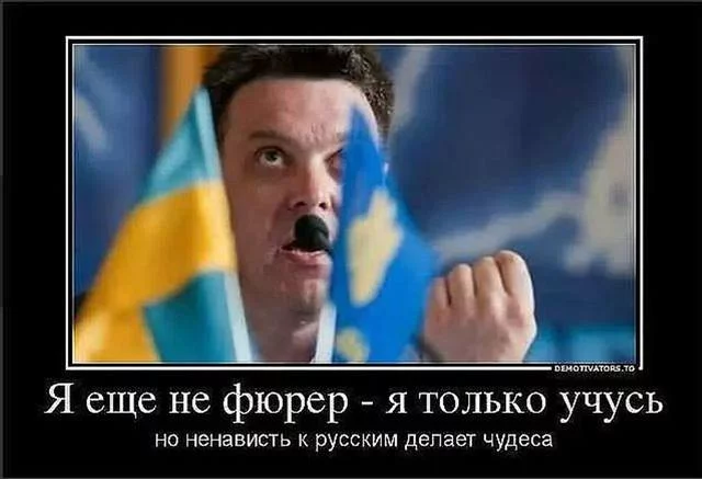 4067638_m.webp
