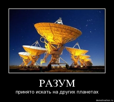 40738234.webp