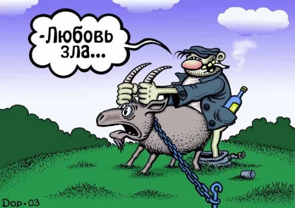 408.webp