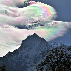 4085266152_e60f65a5c2_m.webp