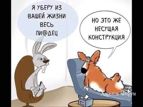 409cbf738b1cde3c529aa.webp