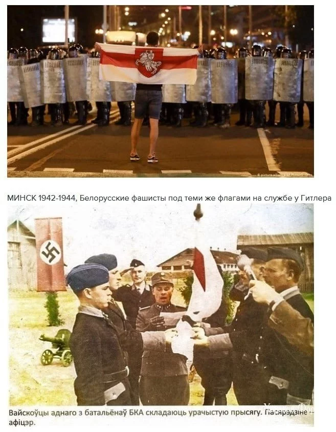 40b743e29c95ba0d.webp