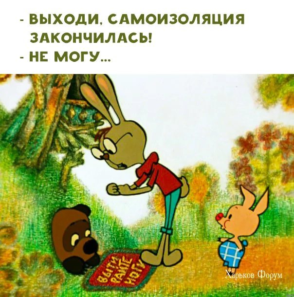 40c3c5085c654c93266.webp