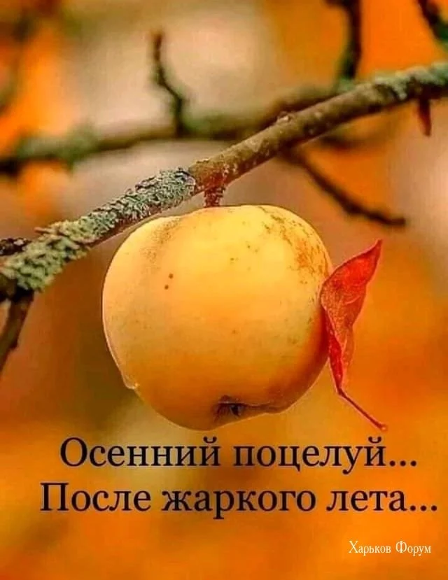 40cb552bd7fad5a4de.webp