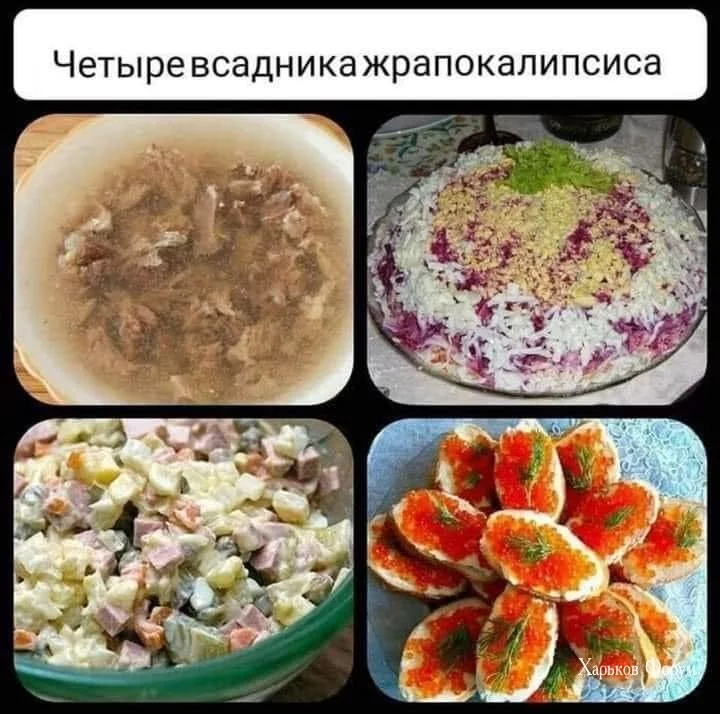 40e78e430bdbaa5b2d47c.webp