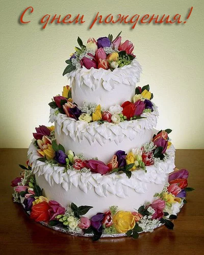41033405_s_dnem_rozhd.webp