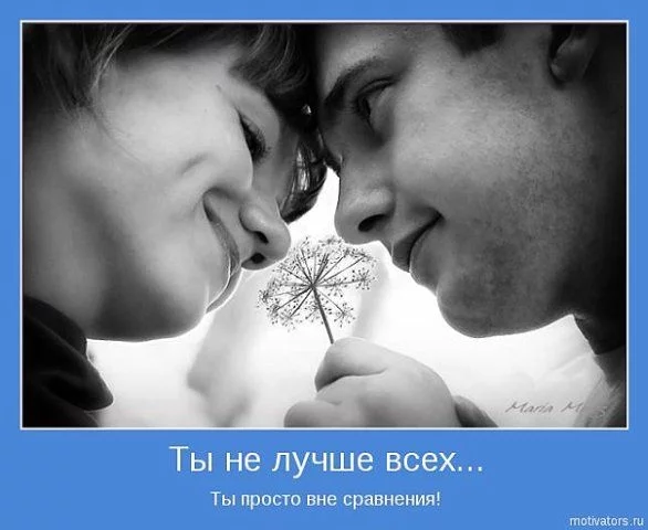 4109.webp