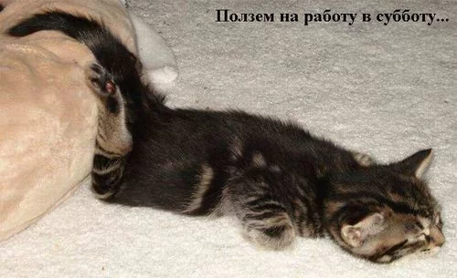 41099140.webp