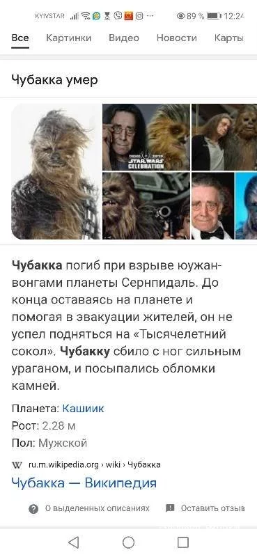 410a55c8ca6f1e3c84.webp