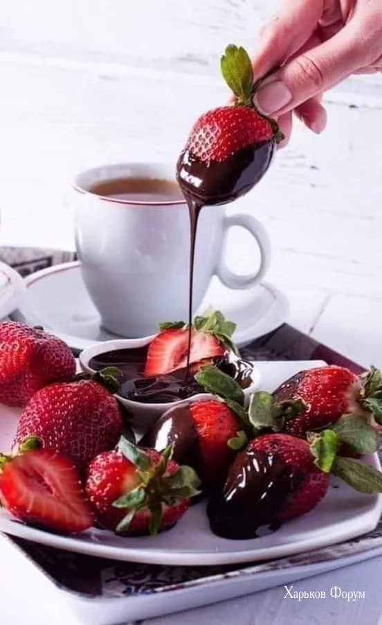 410ec9d24397f36f8b4c1e11.webp