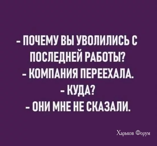 411313455b9fdadb2a483b7.webp