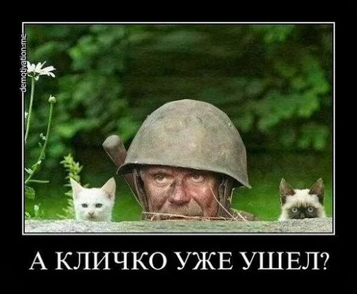 4119fe5351f3aa183a3503028520999a.webp