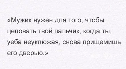 411df34b2a3fde999c2be.webp